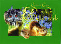 Chestnut Centre Guide 2004 - Otters, Polecat and European Eagle Owl.